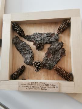 344752850_273452265020648_5481372137526616542_n