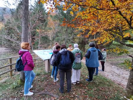 Usposabljanje za življenjsko uspešnost - Izzivi podeželja
